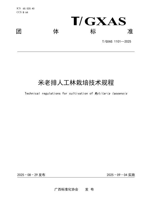 T/GXAS 1101-2025 米老排人工林栽培技术规程
