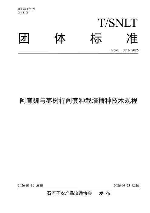 T/SNLT 0016-2026 阿育魏与枣树行间套种栽培播种技术规程