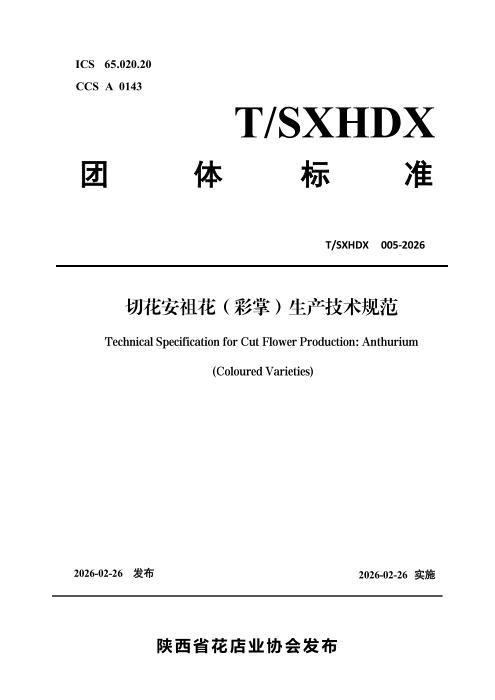 T/SXHDX 005-2026 切花安祖花（彩掌）生产技术规范
