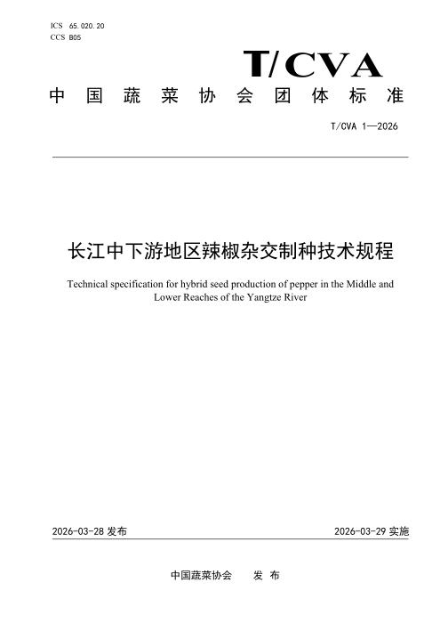 T/CVA 1-2026 长江中下游地区辣椒杂交制种技术规程