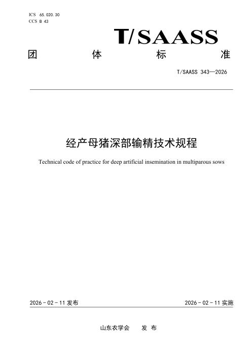 T/SAASS 343-2026 经产母猪深部输精技术规程