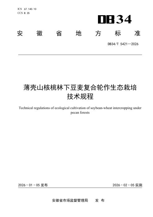 DB34/T 5421-2026 薄壳山核桃林下豆麦复合轮作生态栽培技术规程