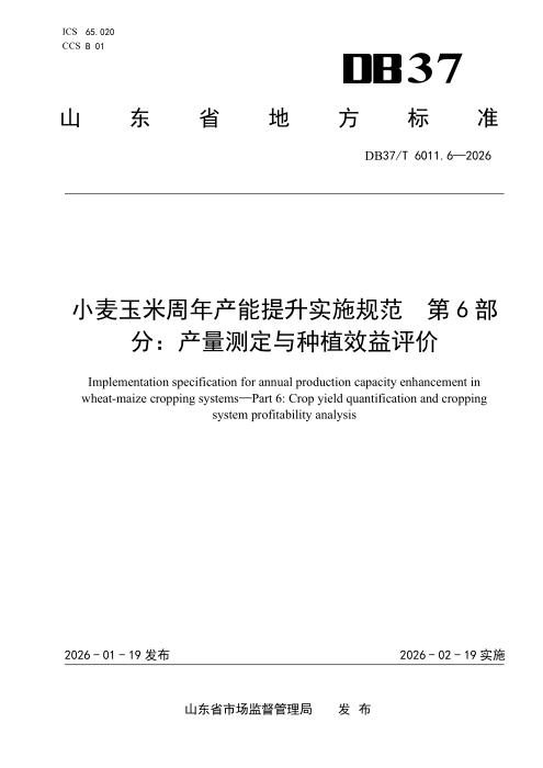 DB37/T 6011.6-2025 小麦玉米周年产能提升实施规范 第6部分：产量测定与种植效益评价