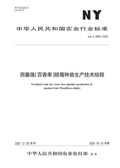 NY/T 4895-2025 西番莲(百香果)脱毒种苗生产技术规程