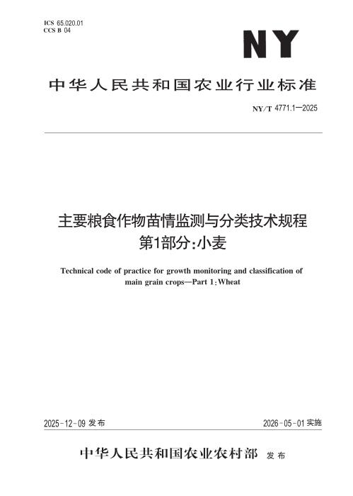 NY/T 4771.1-2025 主要粮食作物苗情监测与分类技术规程 第1部分：小麦