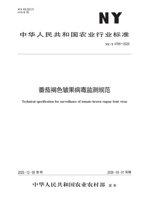 NY/T 4765-2025 番茄褐色皱果病毒监测规范