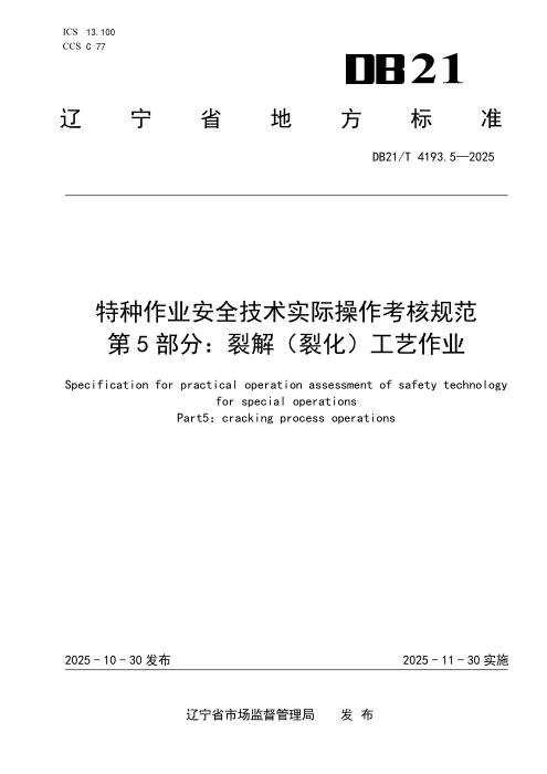 DB21/T 4193.5-2025 特种作业安全技术实际操作考核规范 第5部分：裂解（裂化）工艺作业