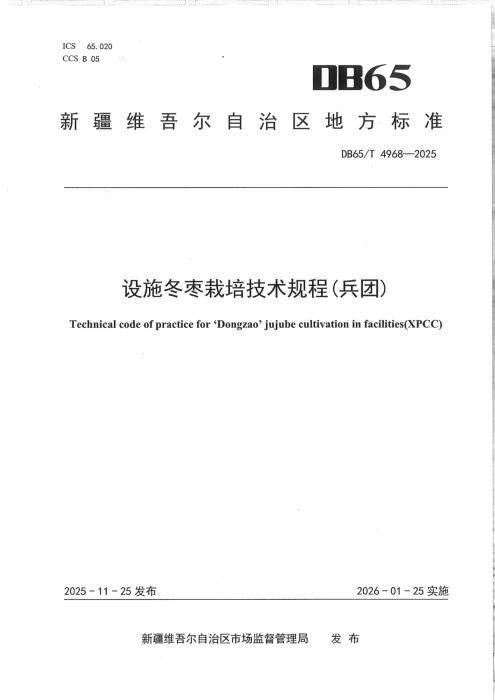 DB65/T 4968-2025 设施冬枣栽培技术规程(兵团)