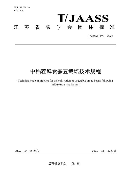 T/JAASS 198-2026 中稻茬鲜食蚕豆栽培技术规程