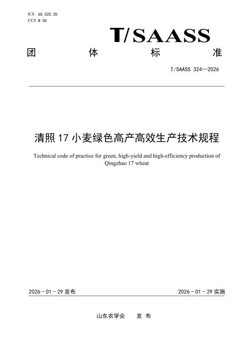 T/SAASS 324-2026 清照17小麦绿色高产高效生产技术规程