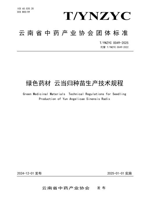 T/YNZYC 0049-2025 绿色药材 云当归种苗生产技术规程