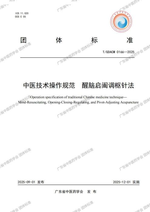 T/GDACM 0166-2025 中医技术操作规范 醒脑启阖调枢针法