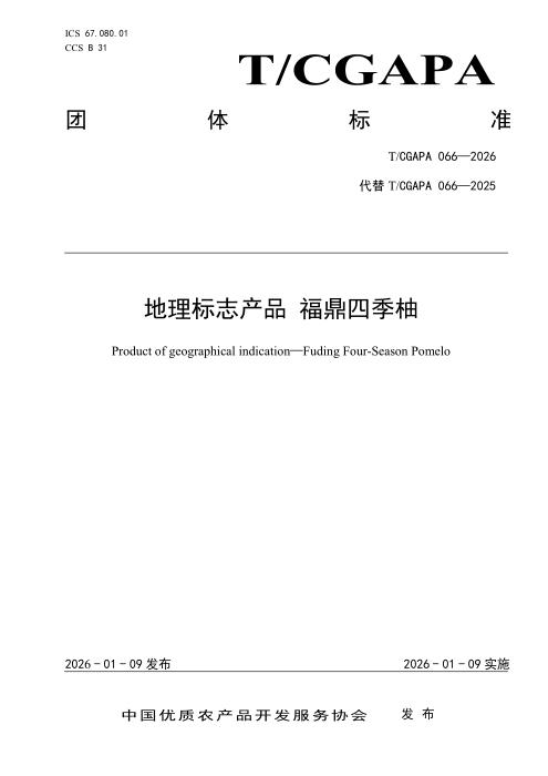 T/CGAPA 066-2026 地理标志产品 福鼎四季柚