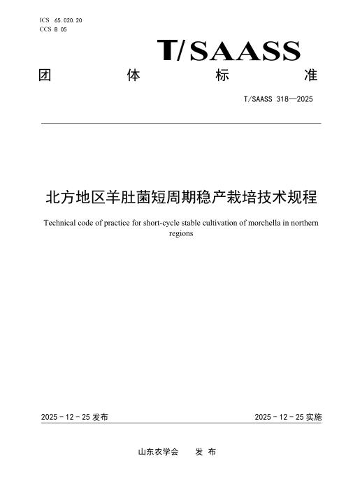 T/SAASS 318-2025 北方地区羊肚菌短周期稳产栽培技术规程
