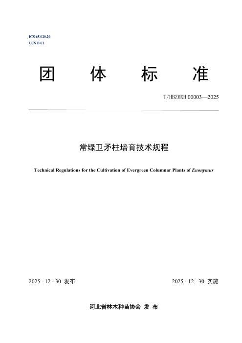 T/HBZMXH 00003-2025 常绿卫矛柱培育技术规程