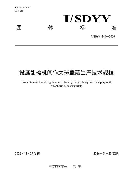 T/SDYY 248-2025 设施甜樱桃间作大球盖菇生产技术规程