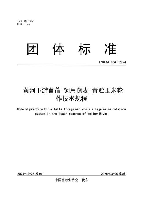 T/CAAA 134-2024 黄河下游苜蓿-饲用燕麦-青贮玉米轮作技术规程