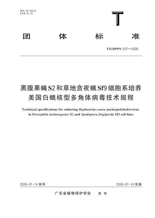 T/GDPPS 037-2026 黑腹果蝇S2和草地贪夜蛾Sf9细胞系培养美国白蛾核型多角体病毒技术规程
