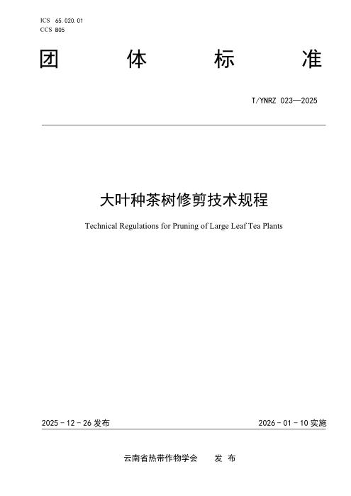T/YNRZ 023-2025 大叶种茶树修剪技术规程