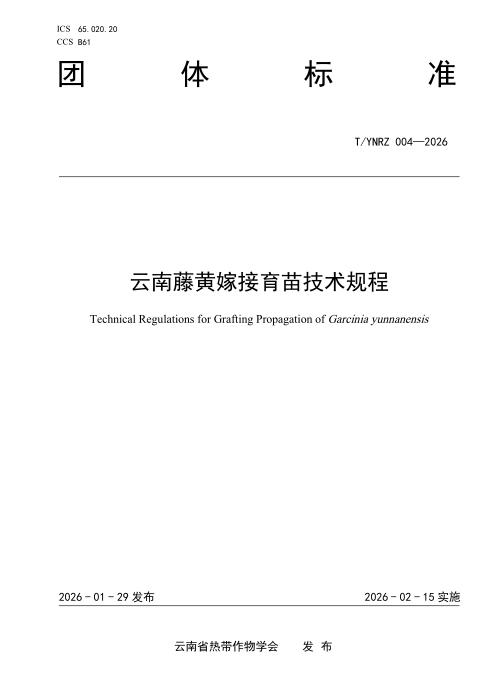 T/YNRZ 004-2026 云南藤黄嫁接育苗技术规程