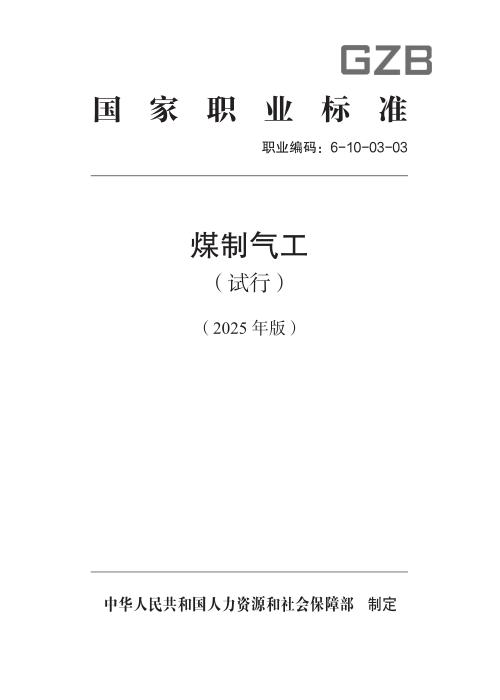 国家职业标准 6-10-03-03 煤制气工（试行） 2025年版