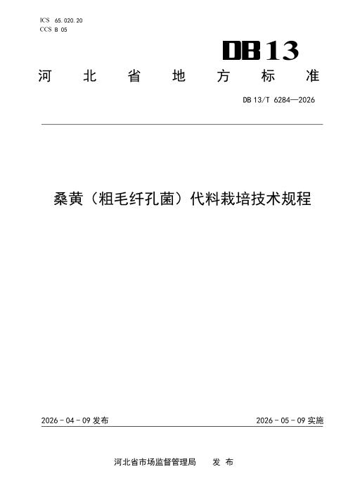 DB13/T 6284-2026 桑黄（粗毛纤孔菌）代料栽培技术规程