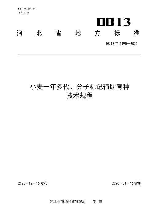 DB13/T 6195-2025 小麦一年多代、分子标记辅助育种技术规程