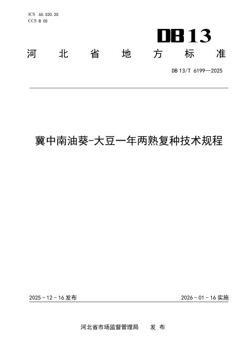 DB13/T 6199-2025 冀中南油葵-大豆一年两熟复种技术规程