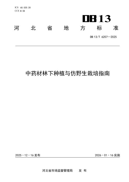 DB13/T 6207-2025 中药材林下种植与仿野生栽培指南