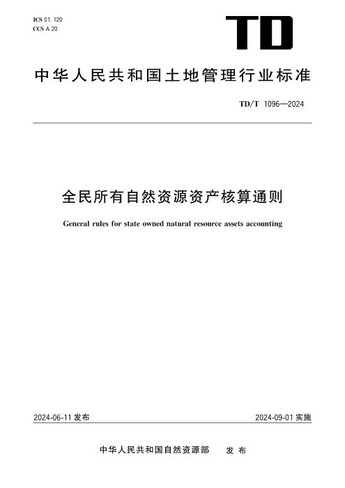 TD/T 1096-2024 全民所有自然资源资产核算通则 清晰版