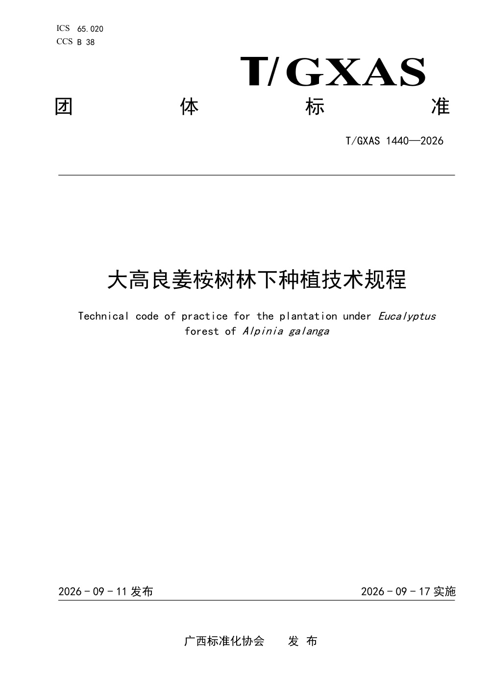 T/GXAS 1440-2026 大高良姜桉树林下种植技术规程