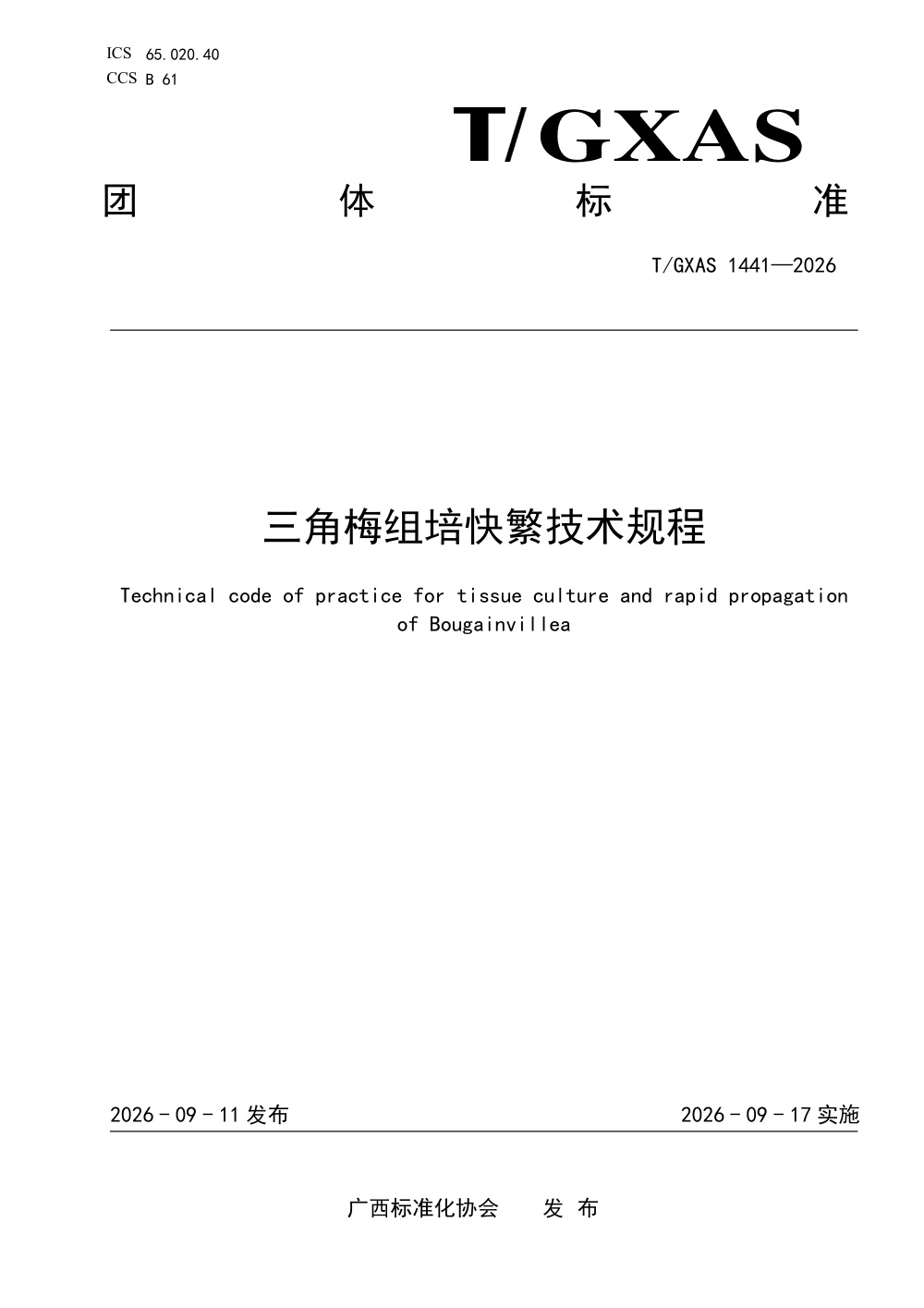T/GXAS 1441-2026 三角梅组培快繁技术规程