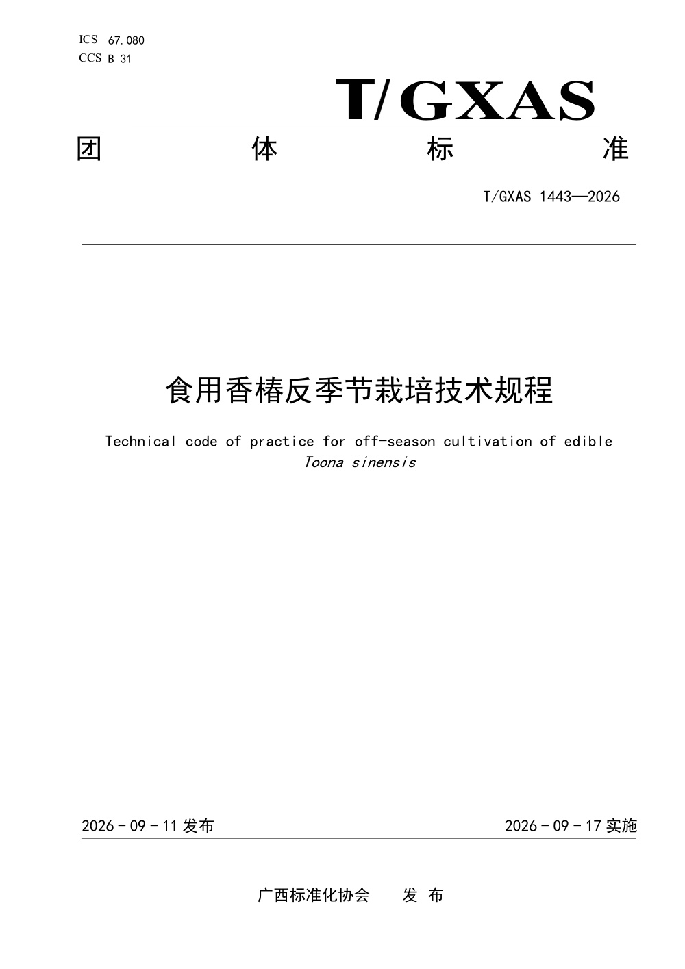 T/GXAS 1443-2026 食用香椿反季节栽培技术规程