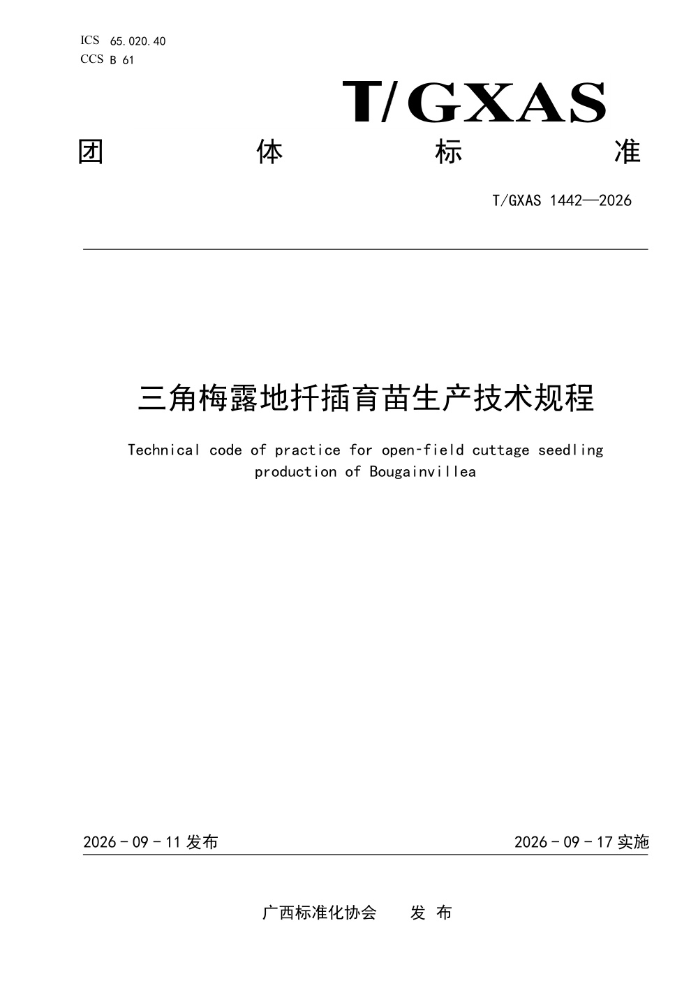 T/GXAS 1442-2026 三角梅露地扦插育苗生产技术规程